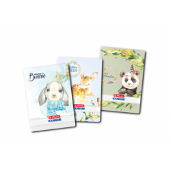 VOCABULAR 24 FILE A6 DIVERSE MOTIVE 