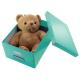 Cutie LEITZ Click & Store medie 281 x 200 x 369 mm, carton laminat - turcoaz
