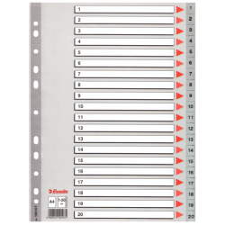 Separatoare din plastic ESSELTE, index 1-20, A4.