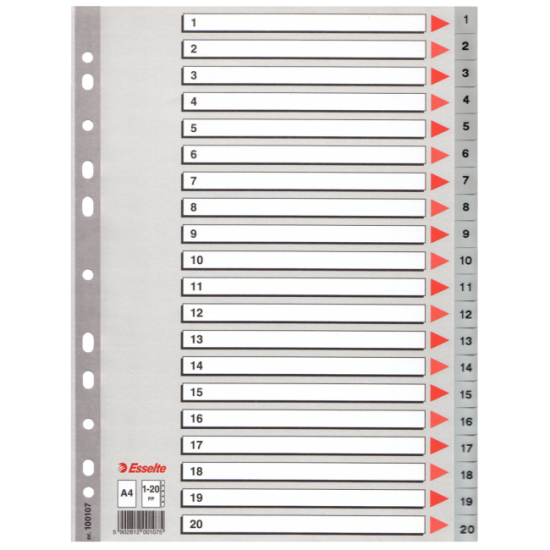 Separatoare din plastic ESSELTE, index 1-20, A4.