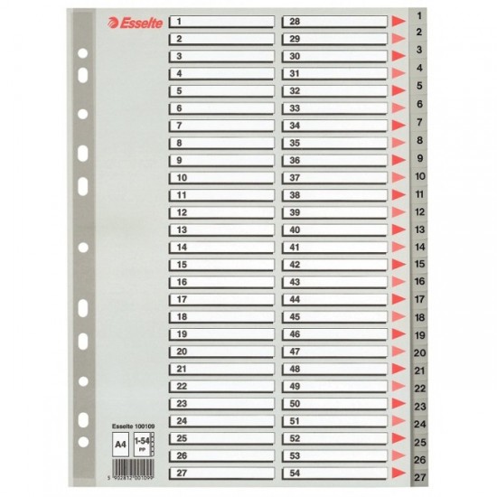 Separatoare din plastic, index 1-54, A4, ESSELTE