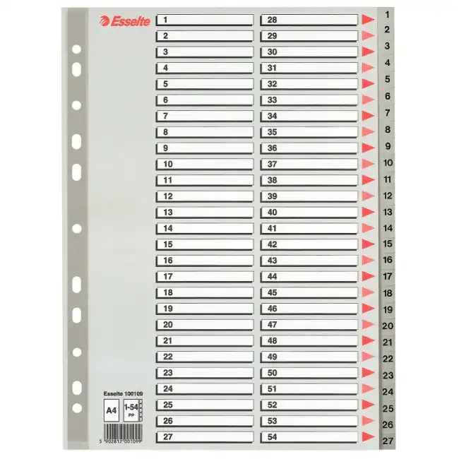Separatoare din plastic, index 1-54, A4, ESSELTE