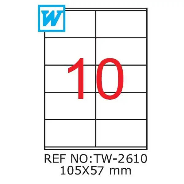 Etichete autoadezive TANEX, 10/A4 , 105 x 57mm