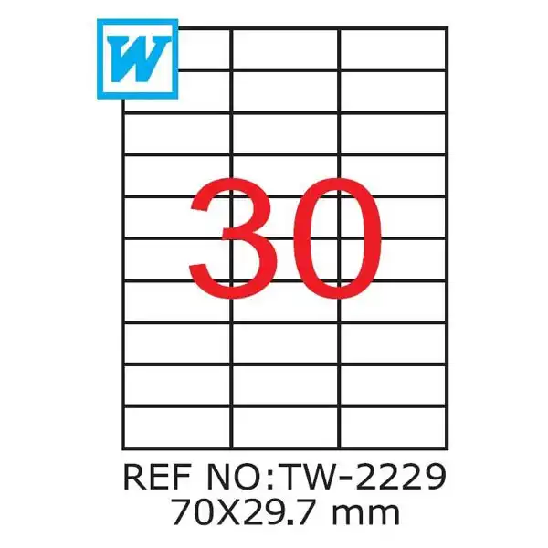 Etichete autoadezive TANEX, 30/A4 , 70 x 29,7mm