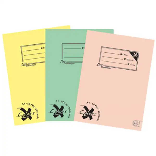 Caiet A4, 60 file, matematica-dictando-velin, PIGNA Basic-2019