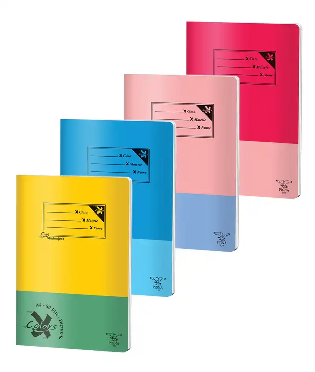 Caiet A4, 80 file, PIGNA Basic
