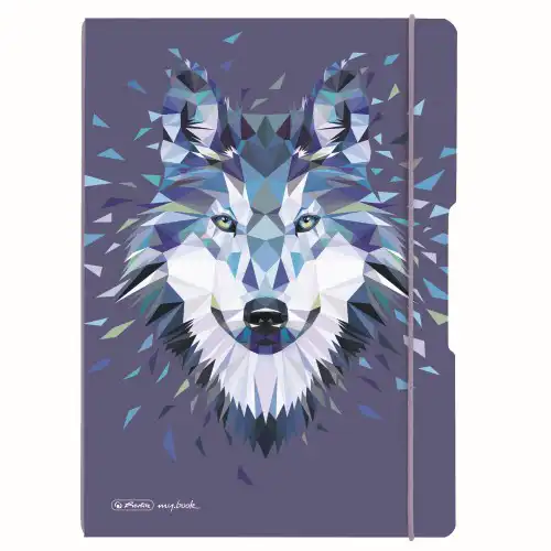 CAIET MY.BOOK FLEX A5 40F, DIV MODELE CAIET MY.BOOK FLEX A5 40F LADYLIKE